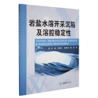 全新正版岩盐水溶开采沉陷及溶腔稳定97875624661重庆大学出版社