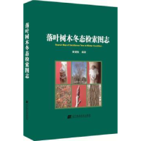 全新正版落叶树木冬态检索图志9787538194661辽宁科学技术出版社