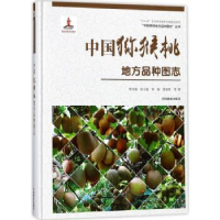 全新正版中国猕猴桃地方品种图志9787503894008中国林业出版社