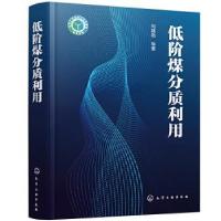 全新正版低阶煤分质利用9787110化学工业出版社