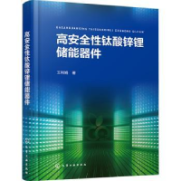 全新正版高安全钛酸锌锂储能器件9787122435583化学工业出版社