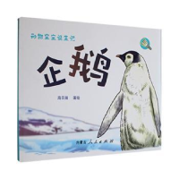 全新正版动物宝宝诞生记:企鹅9787204169412内蒙古人民出版社