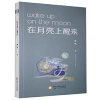 全新正版在月亮上醒来9787227073017宁夏人民出版社