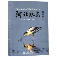 全新正版河北水鸟9787503895401中国林业出版社