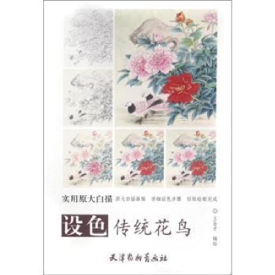 全新正版设色传统花鸟9787554705100天津杨柳青画社