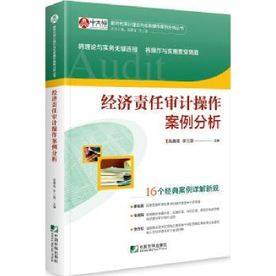 全新正版经济责任审计操作案例分析9787509219386中国市场出版社