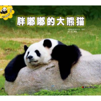全新正版胖嘟嘟的大熊猫9787551406451浙江摄影出版社