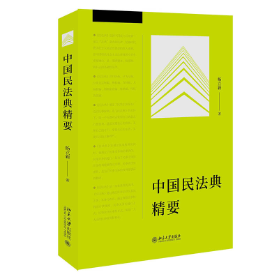 全新正版中国民法典精要9787301316269北京大学