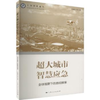 全新正版超大城市智慧应急9787208179257上海人民出版社