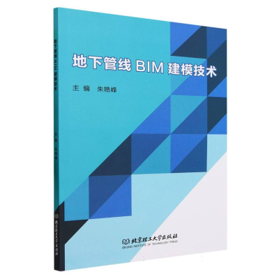 全新正版地下管线BIM建模技术9787576325058北京理工大学