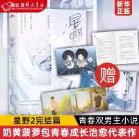 [正版图书]星野2完结篇 奶黄菠萝包青春成长治愈代表作,作家许原野×单纯小朋友于星衍 都市青春文学成长治愈代表作全新番外