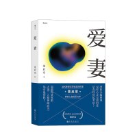 [正版图书]爱妻 台北书展大奖获奖作品 香港标志性作家董启章著作 华语文学 言情小说书籍