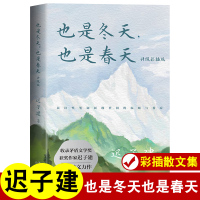 [正版图书]也是冬天也是春天 迟子建散文集原来姹紫嫣红开遍云烟过客我的世界下雪了锁在深处蜜光明于低头一瞬精选书籍名家经典