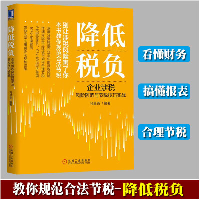 [正版图书]降低税负 企业涉税风险防范与节税技巧实战 马昌尧 节税实操案例分析图书 财税知识财务财政税务经济管理 规避方