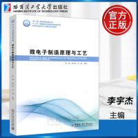 [正版图书]YS 哈工大 微电子制造原理与工艺 张威 李宇杰 刘威 电子科学与技术 微电子技术 哈尔滨工业大学出版