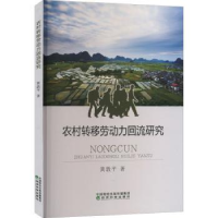 诺森农村转移劳动力回流研究黄敦平9787521838749经济科学出版社