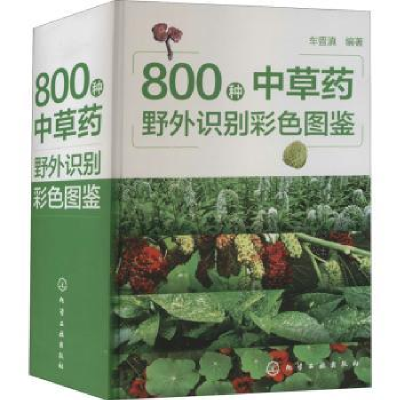 诺森800种草野外识别彩色图鉴(精)车晋滇978712728化学工业出版社