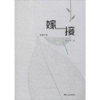 诺森嫁接:长篇小说刘玉琴著9787555510970远方出版社