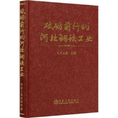 诺森砥砺前行的河北钢铁工业王大勇9787502486433冶金工业出版社