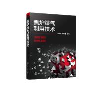 诺森焦炉煤气利用技术杨跃平,阎承信9787120050化学工业出版社