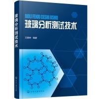 诺森玻璃分析测试技术王振林9787129306化学工业出版社