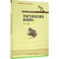 诺森页岩气渗流机理及数值模拟郭肖编著9787030429247科学出版社