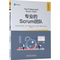 诺森专业的Scrum团队