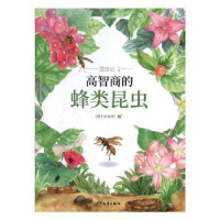 诺森高智商的蜂类昆虫(法)法布尔著9787558902802少年儿童出版社