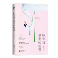 诺森你是我的相遇林笛儿著9787559426918江苏凤凰文艺出版社