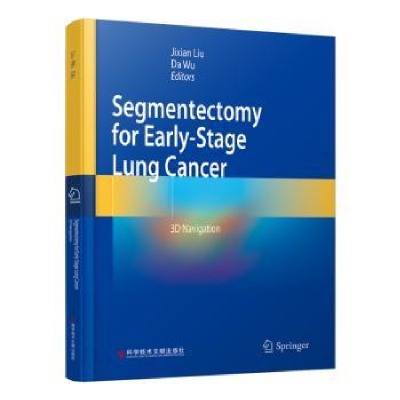 诺森Segmentectomy for early-stage lung cancer:3D navigation