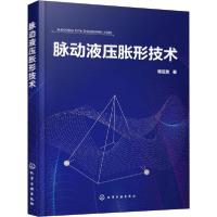 诺森脉动液压胀形技术杨连发著978712941化学工业出版社