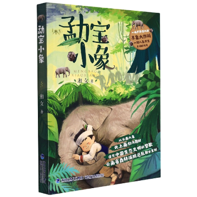 诺森勐宝小象湘女9787539577517福建少年儿童出版社