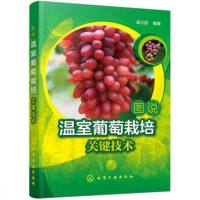   图说温室葡萄栽培关键技术9787122300591孟凡丽,化学工业出版社