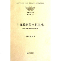   生死轮回的永恒灵魂沈骊天9787214061430江苏人民出版社