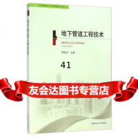 山东省建造师人才培养战略研究成果丛书:地下管道工程技术邢丽贞9786461897 9787564618971