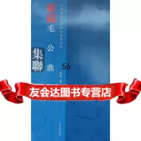 [9]中国历代经典碑帖集联列毛公鼎集联97840125288赵先锋,河南美术出版社 9787540125288