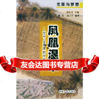 凤凰涅槃:1919~1949年的中国故事/光荣与梦想陈佳,俞云平福建人民出版社978 9787211038169