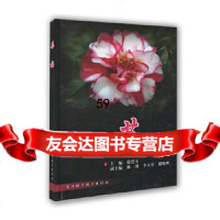 [9]茶梅,徐碧玉,浙江科学技术出版社 9787534130601