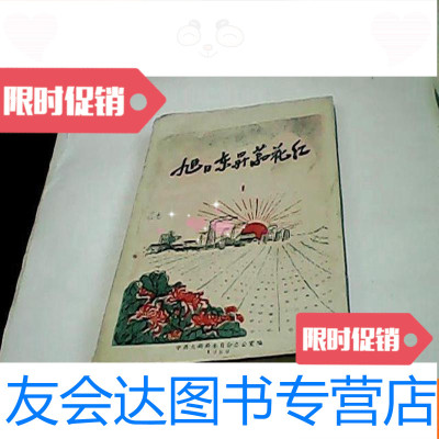 [二手9成新]旭日东升万花红1 9781802347441