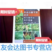 [二手9成新]现代蔬菜病虫害防治丛书:葱姜蒜薯芋类蔬菜病虫害诊治原色图鉴 9781010062501