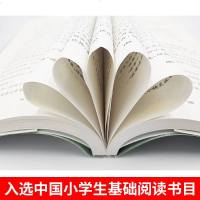 狐狸打猎人的故事 百年百部中国儿童文学书系 7-9-12周岁儿童阅读书 中小学生三四五六年级文学推荐阅读课外书籍 正