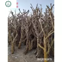 天然造型树服装装饰树石榴树干树枝去皮树造景树古老树橱窗鸿运树 封后 去皮漂白做颜色 干树枝