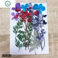 星星干花压花脸贴花片贴脸妆花瓣妆脸部干花妆学生手工diy贴画花 封后 花材包-人气款