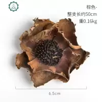 干花永生花家居摆设花瓶插花客厅小清新天然手工花瓣真花北欧装饰 封后 虞美人干花(棕色) 花瓣