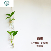 创意diy手工麻绳装饰墙上壁挂水养挂墙幼儿园墙壁水培绿萝花瓶吊 封后 麻绳(一个吊瓶) 中等