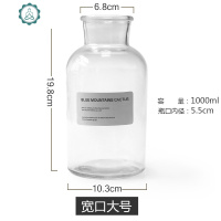 北欧ins风格小花瓶水培透明玻璃鲜花插花瓶家居摆设拍摄道具 封后 细口小号