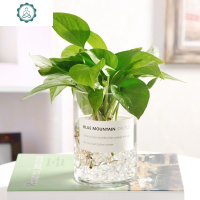 玻璃水培植物花瓶透明花盆绿箩富贵竹办公室桌面水养创意圆柱花瓶 封后 水晶石90粒(不含花瓶) 大