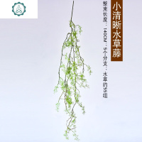 仿真黑骨芒绿植藤条空调管道缠绕水景景观鱼缸水植物塑料吊顶 封后仿真植物