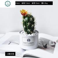 ins北欧风绿植物仿真多肉小盆栽假仙人掌电视机柜装饰创意摆件设 封后 铁艺多肉仙人掌-A款白色仿真植物