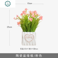 仿真植物装饰北欧绿植室内盆栽客厅摆件塑料假花多肉小盆景摆设 封后 陶瓷盆绿植/紫色